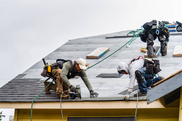 Professional Roofing technician working in Bradford, IA